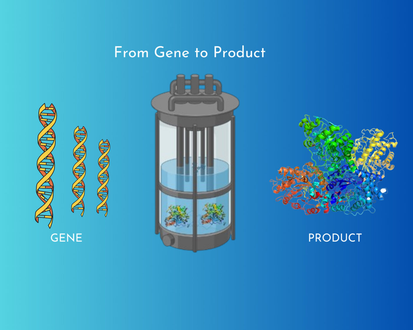 Biocatalysis and Protein Engineering Biotechnology Courses